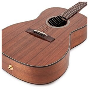 Takamine EF407